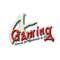 AGaming+