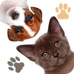 Find a Pet - Hidden Object