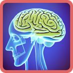 Brain vs Brain