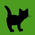 Find Words Animal Version