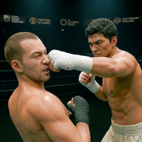 Brutal Knuckle Boxing