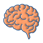 Brain Training,Memory Test