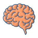 Brain Training,Memory Test