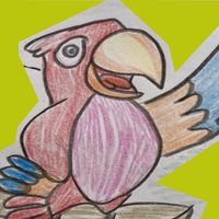 Funny birds : bird adventure