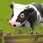 Bella's Farm
