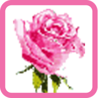 Rose Flower Pixel