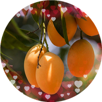 blagger mango shooter