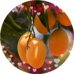 blagger mango shooter