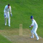 CricPuzz