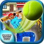 Cricket Street Cup Game