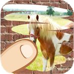 Horses, which one is hiding