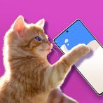Cat barista: food truck drinks