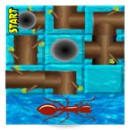 Ant Run Maze