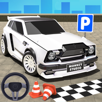 Park Master Car Driving Games