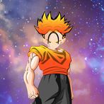 Legend of Super Shadow Warrior