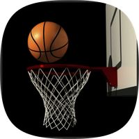 Ultimate Basketball match fun