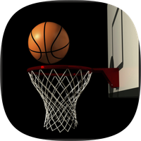 Ultimate Basketball match fun