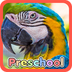 Wild Animal Preschool Games