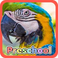 Wild Animal Preschool Games