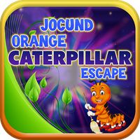 Jocund Orange Caterpillar Esca