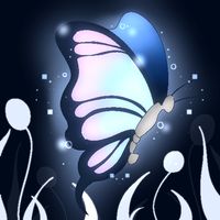 Find a Light  a journey