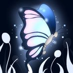 Find a Light  a journey