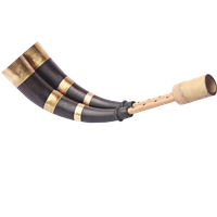 Virtual Pepa - ম'হৰ শিঙৰ পেঁপা