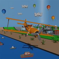 Crazy Pilot Flight