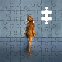 Jigsaw Galaxy: Cats Edition