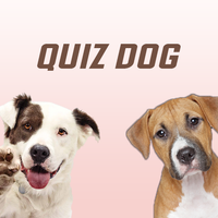 Quiz Dog - Guess the breed