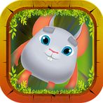 Kavi Escape Game - Cute Gray M