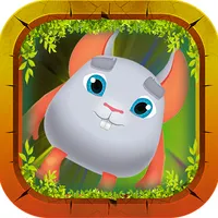 Kavi Escape Game - Cute Gray M