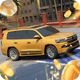 Fortune Parking 3D