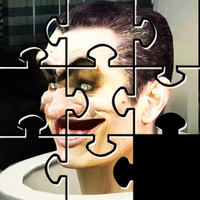 Skibidi Toilet Puzzles