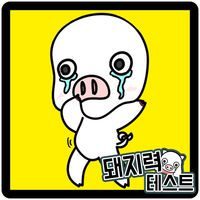 돼지력 테스트