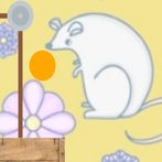The Better Mousetrap