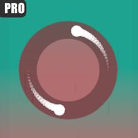 Pivot Spin PRO