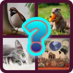 AnimalTriviaMundo - Preguntas