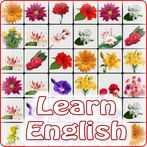 Onet Flower: Learn English