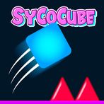 SyCoCube