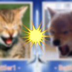 PictBattler(Picture fight)