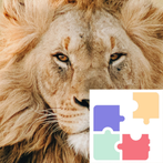 Lion Relax Puzzle