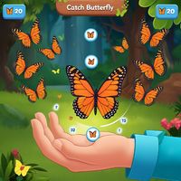 Catch the Butterfly
