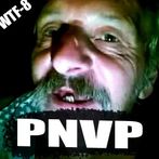 PNVP