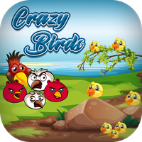 Crazy Birds
