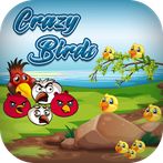Crazy Birds