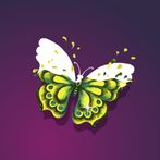 Magic Butterfly Paint