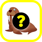 Tebak Gambar Hewan Puzzle