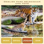 Quebra-Cabeça Mães e Filhotes