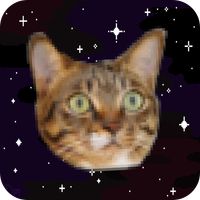 Cats In Space!